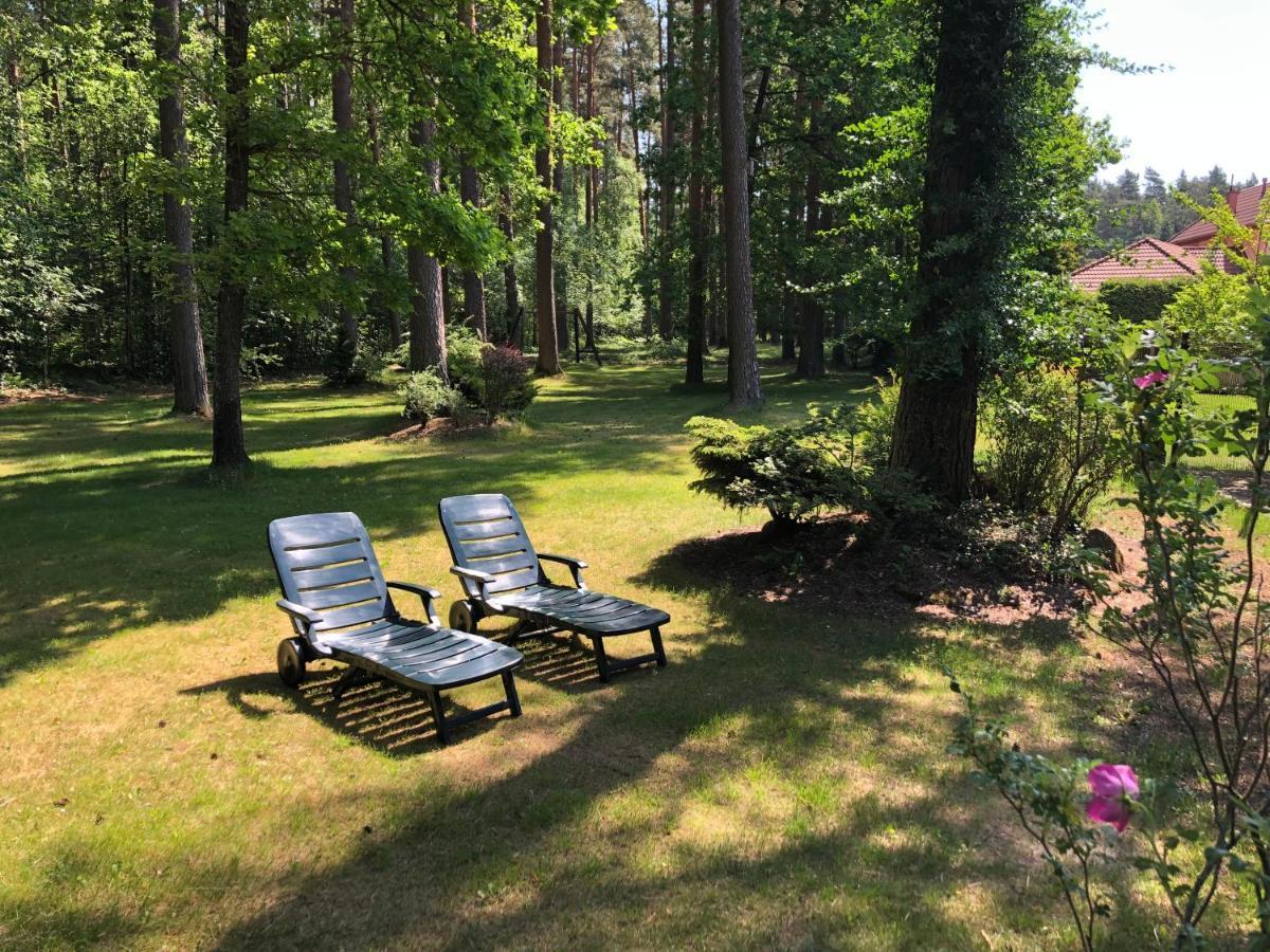 Guests House With Amazing Pool And Sauna Babīte エクステリア 写真